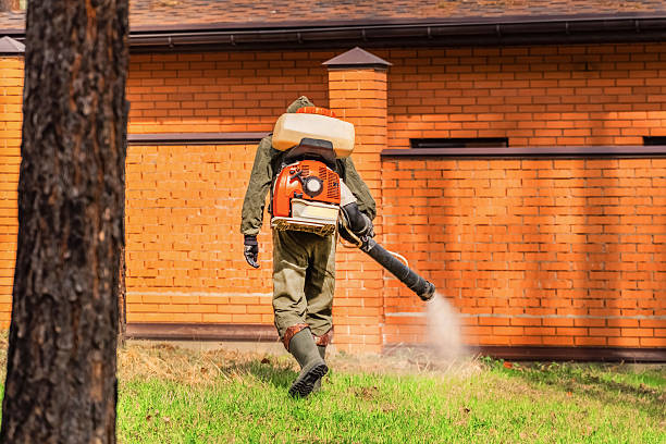 Trusted Cockroach Control service in Shady Cove, OR - Nex Pest Control